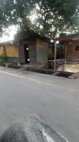 This video captures a street view in Akowonjo, Nigeria. The scene is a sun-drenched road, with a yellow line marking the center. On one side of the road is a wall painted in yellow and green, with trees providing shade over the sidewalk.

Several people are visible walking along the sidewalk. Initially, two individuals in school uniforms, one in a green shirt and plaid skirt, the other in a similar outfit with a white head covering, are seen walking away from the camera, carrying backpacks. Further down the road, a person in a green t-shirt and patterned trousers walks briskly. Another individual in a dark shirt and pants is seen standing near the wall. Towards the end of the clip, a gate to a building complex is visible, with some vehicles parked outside.

The time of day appears to be morning or late afternoon, given the strong sunlight and shadows. The weather seems to be warm and clear. The presence of school children and the general street scene suggest a typical day in a residential or commercial area. The overall mood is one of everyday activity and movement. There are some advertisements or posters visible on the wall, but the text is not legible. The camera appears to be mounted on a moving vehicle, likely a motorcycle or tricycle, indicated by the blurred foreground of what looks like denim material and a wheel.