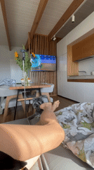 Quiet morning moments with pet in Chaikovsky home