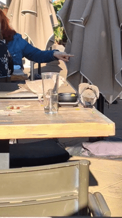 Pigeons feed from dish on outdoor table in Dénia