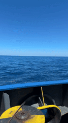 Ship crew cooks chicken skewers on Mediterranean voyage