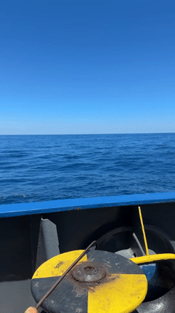 Ship crew cooks chicken skewers on Mediterranean voyage