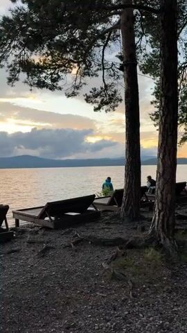 This media file depicts a serene lakeside scene at dusk. The primary subjects are two individuals seated on lounge chairs facing a calm body of water, with a mountain range visible in the distance. The foreground is characterized by the textured bark of tall pine trees and a gravelly ground scattered with exposed roots, suggesting a natural, somewhat wild setting. Several empty lounge chairs are arranged along the shoreline, hinting at a recreational area.

The activity captured is a moment of quiet contemplation and relaxation as the day transitions into evening. The time of day is clearly indicated by the soft, warm hues of the sunset illuminating the sky, with scattered clouds adding depth to the celestial display. The weather appears calm, with no visible wind disturbing the water's surface.

Notable details include the rustic wooden structures that appear to be a deck or pier where the lounge chairs are placed, and a winding stone pathway running parallel to the shoreline, indicating a developed area alongside the natural landscape. The overall emotion conveyed is one of peace and tranquility. The location context of Turgoyak, Russia, suggests a possibly cold or temperate climate, and the presence of pine trees further supports this. There is no visible text within the media file.