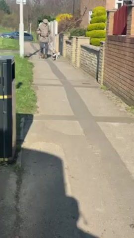 The video shows a man walking two small dogs on a leash along a sidewalk. The man is using a cane and wearing a jacket and cap. The sidewalk is next to a street and has a black trash can on one side and a brick wall on the other. The weather appears sunny.