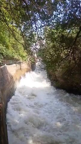 The video shows a fast-flowing channel of whitewater. The channel is lined with concrete walls, and trees with green leaves overhang from both sides, casting shadows on the water. There appears to be a railing on the left side of the channel. The water is turbulent and frothy, suggesting a significant volume and speed of flow.
