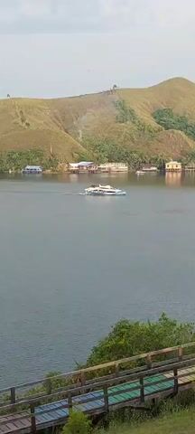 A wide shot captures a passenger boat moving across a body of water. The boat is white with blue accents and has people visible on its upper deck. In the background, a lush green hillside is dotted with buildings and trees. The sky is overcast.