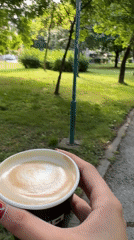 Morning coffee walk encounters pigeons in Plovdiv park