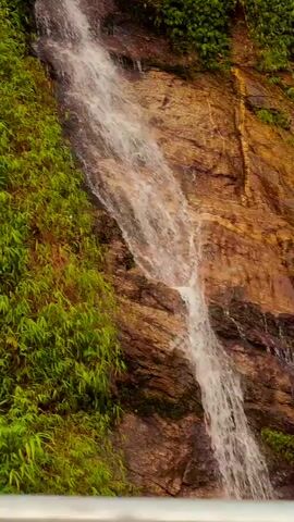 The video captures a natural waterfall cascading down a lush, green hillside in Tân Quang Commune, Vietnam. The scene is dominated by vibrant green vegetation, including dense foliage and bamboo-like plants, which thickly cover the rocky terrain. Water flows continuously over the dark and light brown rock faces, creating a series of dynamic, white-foamed cascades as it descends the slope.

At the beginning of the video, a grey metal guardrail is visible in the foreground, suggesting the footage is captured from a roadside or a designated viewpoint. As the camera subtly moves, it offers various perspectives of the waterfall, highlighting the natural flow of water over different rock formations. One segment shows the water spreading briefly over a wider, smoother rock surface before narrowing again into a focused stream.

The natural lighting indicates it is daytime. The overall impression is one of a tranquil and pristine natural landscape, emphasizing the beauty of the flowing water amidst abundant, verdant greenery. There are no people visible, and no discernible text appears in the video.