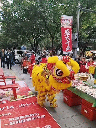 Lion dance performance observed in Yuzhong District, China