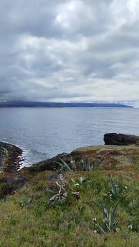 The video shows a scenic overlook of a coastline. In the foreground, there is green grass and some dry plants, with a stone path visible on the left. The middle ground features a rocky embankment and the sea. A small pier or harbor with some parked cars and buildings is visible along the coast. In the background, there are hills and a cloudy sky. The camera pans slowly from left to right, offering a panoramic view of the landscape.