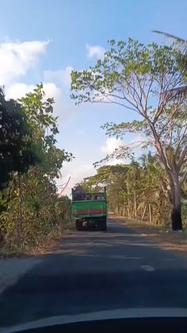The video shows a rear view of a green dump truck driving on a paved road surrounded by lush vegetation and trees under a bright blue sky with scattered clouds. The truck appears to be carrying some cargo, possibly agricultural products or debris. The road is narrow and asphalted, with dry grass and foliage growing on the sides. In the distance, there are houses and more trees, suggesting a rural or semi-rural setting. The overall atmosphere is serene and sunny, indicative of a pleasant day.