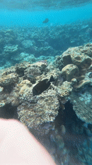 Tourists enjoy snorkeling and beach activities in Sharm El Sheikh