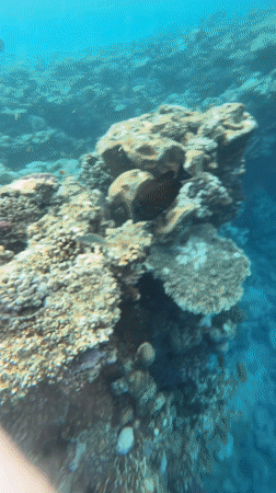Tourists enjoy snorkeling and beach activities in Sharm El Sheikh
