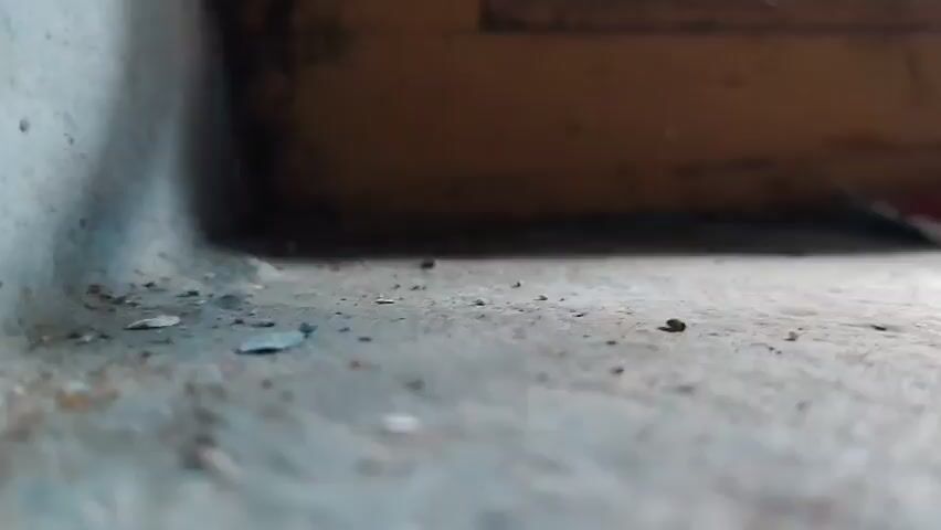 A close-up, low-angle shot shows a dirty, dusty windowsill. In the background, there is a yellow-brown frame, possibly of a window. On the windowsill, a small, crumpled, red tube with a white cap lies on its side. The tube appears to be a miniature toothpaste tube. Small pieces of debris are scattered across the surface of the windowsill.