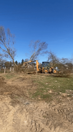 Land clearing operations underway in rural Belarus