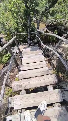 The video pans across a rustic wooden staircase leading down into a natural landscape. Lush green trees and rocky outcrops surround the staircase. In the first few seconds, a black bear is visible sitting on a rocky ledge to the left of the stairs. The landscape beyond the stairs features a valley with dense green foliage and mountains in the distance under a partly cloudy sky.
