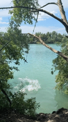 Rope swings and volleyball at a Vienna summer swimming hole