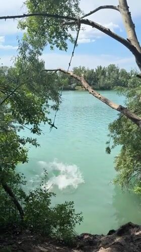 Rope swings and volleyball at a Vienna summer swimming hole