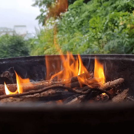 Outdoor Korean BBQ spread in Dunnae-myeon, charcoal grill and all