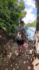 Morning berry harvest documented at Ukrainian village farm