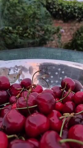 Here's a description of the video:

The video shows a silver colander filled with ripe, dark red cherries. The cherries have their stems attached and are piled together in the colander. The colander sits on a glass table. In the background, there's a brick wall covered with greenery, including some vines. A tree covered in netting is also visible. The sky is overcast, suggesting it's either early morning or late evening. The video gives a close-up view of the cherries before tilting upwards to show the garden scene behind them.