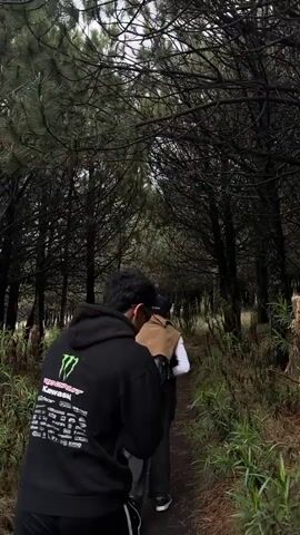 Two people are walking along a narrow path in a forest. The camera follows them from behind. The person in the foreground is wearing a black hoodie with "Kawasaki" printed on the back, while the person in front is wearing a beige vest and a baseball cap. The forest is dense with tall, thin trees, and the ground is covered with green vegetation. The sky is overcast, and the light is dim.