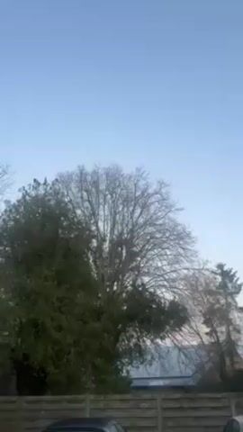 The video shows a view of trees and the sky on a clear day. There are several trees in the foreground, some with leaves and some without.  A wooden fence is visible below the trees. An airplane contrail appears across the sky at one point.  The sky is a light blue color.
