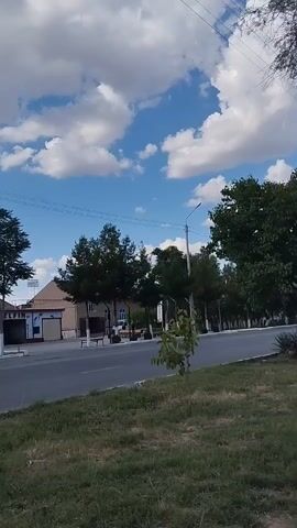 A street scene on a partly cloudy day. Cars drive on the road. Trees line the street and a building is visible on the left side of the road. Grass and a small tree are in the foreground.