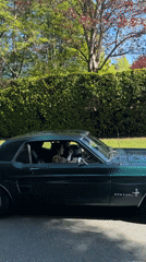 Classic Mustang spotted driving through Canadian mountain region