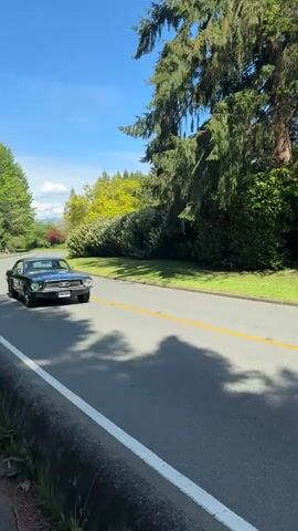 The video shows a dark green classic Mustang driving on a sunny day. The car moves from left to right across the frame, passing by a hedge and trees before driving away down the road. The road has a yellow line down the middle and a stone barrier on the right side. Another vehicle, a white minivan, follows behind the Mustang. The sky is blue and clear.