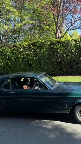 Classic Mustang spotted driving through Canadian mountain region