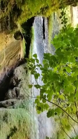 The video begins with a close-up of a waterfall cascading down a moss-covered rock face. Lush green foliage is in the foreground, obscuring parts of the waterfall and the surrounding environment. The camera pans slowly to the right, revealing more of the rock formation behind the waterfall, which appears to be a cave or overhang. The water from the waterfall flows into a stream or river at the bottom of the frame. The lighting suggests it is daytime, possibly with sunlight filtering through the trees. The overall atmosphere is serene and natural.