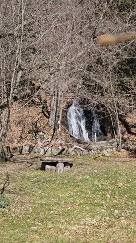 The video depicts a serene natural setting, possibly a park or wooded area. In the background, there is a waterfall cascading down a rocky hill, partially obscured by trees. In the foreground, there are several roughly hewn benches and tables made of wood, suggesting a place for relaxation or a picnic area. The ground is covered with grass, fallen leaves, and some patches of greenery. The trees in the scene are mostly bare, indicating it might be autumn or early spring. The overall atmosphere is tranquil and natural.