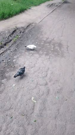 Ordinary afternoon life documented across Poltava, Ukraine
