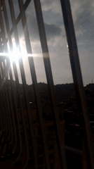 Caracas resident documents quiet evening at home with pets