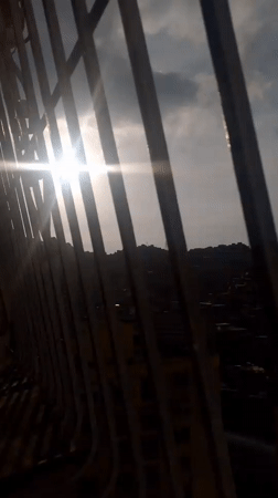 Caracas resident documents quiet evening at home with pets