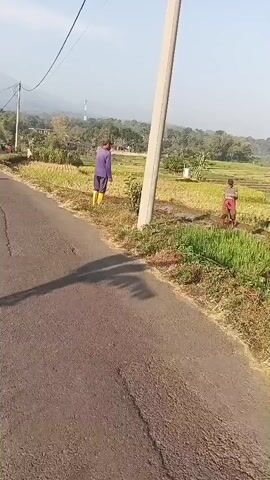 A man in a purple shirt and yellow boots stands in a field next to a road. Another person is further down the road. The sun is shining, casting shadows. There are trees and hills in the background. A narrow ditch runs alongside the road. The camera pans and a black and white cat walks in front of it.