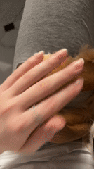 Golden retriever chills through pets, head scratches, and paw holds