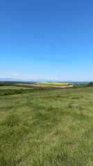 Spring wildflowers bloom across Bulgarian countryside near Lilyache