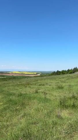 The camera slowly pans across a landscape of rolling hills on a bright, sunny day. The foreground is a grassy field with wildflowers. In the middle distance, there are areas of cultivated farmland, including a field of bright yellow flowers. Further back, there are forested areas and distant mountains visible on the horizon. The sky is a clear, cloudless blue.