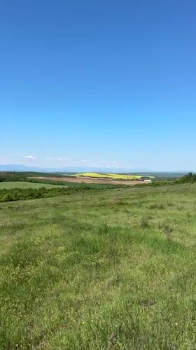 Spring wildflowers bloom across Bulgarian countryside near Lilyache