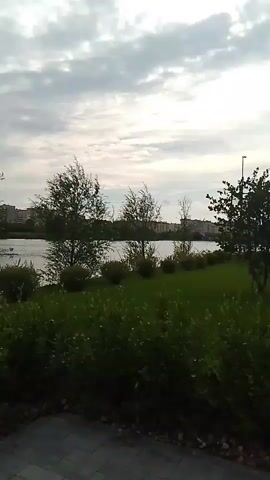 The video captures an outdoor scene on a cloudy day. In the foreground, there is a paved pathway and lush green bushes and grass. Beyond the greenery, a body of water, possibly a lake or river, is visible. Several trees with sparse foliage are scattered along the water's edge. In the background, buildings and houses are lined up, suggesting a populated area. The sky is overcast with scattered clouds. There are no people or animals visible in the frame. The overall impression is one of a serene, natural landscape adjacent to an urban environment.