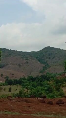 The video features a sweeping daytime pan across a hilly, rural landscape in Assob Hausa, Nigeria, under a partly cloudy sky. The scene begins with a close-up of a large, leafy green tree occupying the right side of the frame, with reddish-brown earth in the foreground. As the camera pans from right to left, it gradually reveals a vast expanse of rolling hills and valleys. The hills are primarily covered in sparse, dry-looking vegetation, suggesting a non-lush season or a semi-arid environment. Interspersed among the drier slopes are pockets of denser, greener trees, particularly in the valleys and on the lower terrain. The foreground consistently shows bare, reddish-brown soil. The video captures the natural rugged beauty of the Nigerian countryside, with no people, animals, or visible text present.