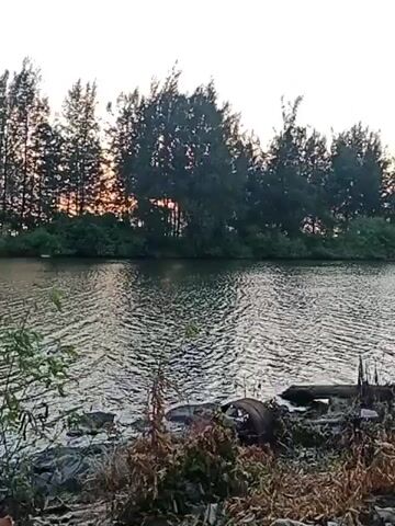 A slow pan shot moves across a body of water with ripples. The far bank is lined with tall, thin trees with a faint sunset visible through them. The foreground shows a shoreline with rocks, dry brush, and some scattered debris, including a deflated tire. The overall lighting suggests dusk or dawn.