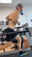 Fitness activities observed in Прикамский laboratory and outdoor field