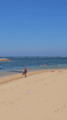 Lazy beach morning in Bali with coconuts and kiteboarding