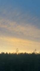 Golden hour sky over a blurred Russian treeline