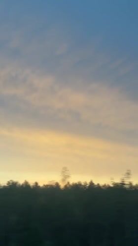 Golden hour sky over a blurred Russian treeline