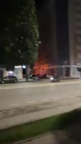 The video shows a street scene at night. The camera is initially positioned behind a tree on a sidewalk, with the street and buildings visible across the road. Several cars are parked along the street, and traffic passes by. As the camera pans to the right, more cars are visible, including a white SUV parked on the side of the road. The street is lit by streetlights, and there are several trees with rounded shapes planted along the sidewalk. A tall building with multiple stories is visible in the background.
