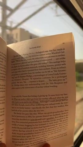 The media file contains a close-up shot of an open book, titled "The Family Mind," placed on a window sill. The book is positioned at an angle, with sunlight illuminating the pages. The pages are filled with text, and the chapter heading "The Family Mind" is visible, along with page number 53. The text discusses themes of motherhood, separation, and family history, quoting Winifred Gallagher and referencing Dr. Raylene Phillips and Dr. Nils Bergman.

The setting appears to be a train or a vehicle in motion, as suggested by the blurred background outside the window. The scene is bathed in natural light, indicating it is daytime. The view outside the window shows greenery and what appears to be a town or city, with specific structures like a water tower and rooftops visible, suggesting an urban or suburban environment. Granollers, Spain is the identified location. The overall mood conveyed is one of quiet contemplation, enhanced by the sunlight and the act of reading.