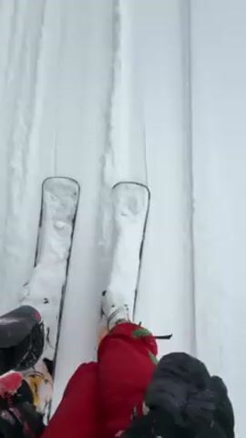 A first-person point-of-view video shows a person skiing downhill on a snow-covered slope on a foggy day. The person is wearing red pants and black gloves.  The skis are visible in the foreground, with tracks already carved into the snow.  The slope is lined with evergreen trees and a red safety fence marked with blue flags. A ski lift can be seen to the side. The video gives the impression of skiing in very low visibility conditions.
